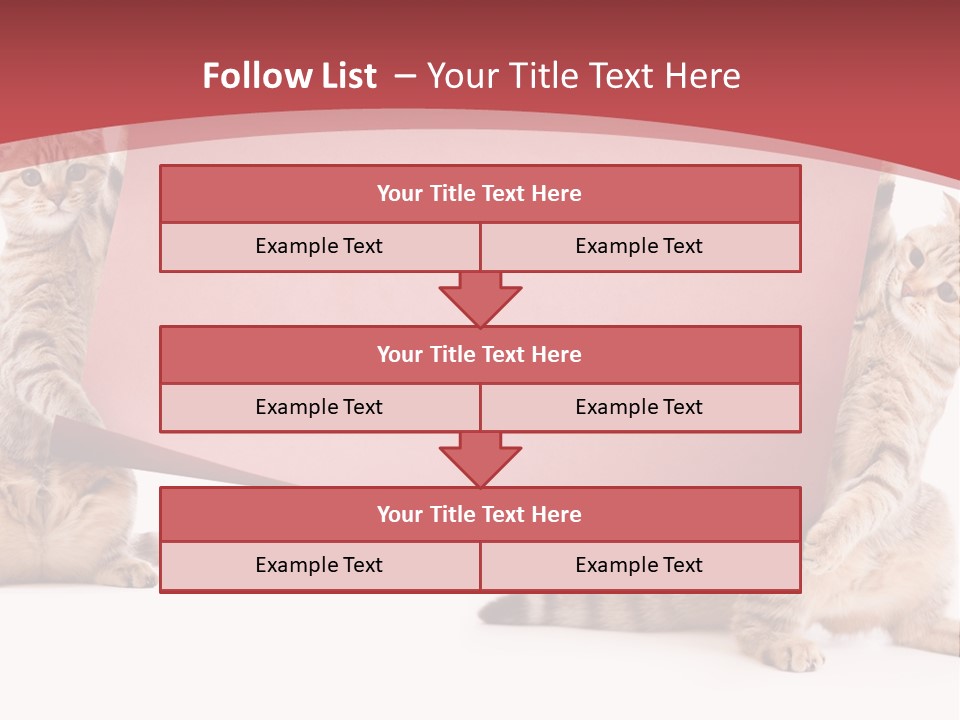 Text Funny Cat PowerPoint Template