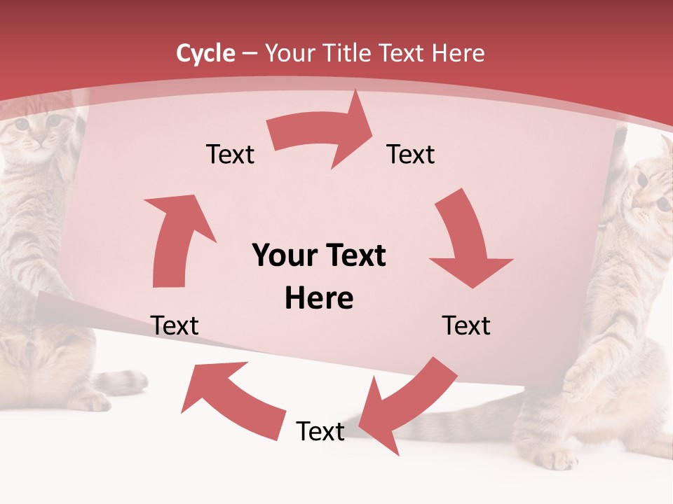 Text Funny Cat PowerPoint Template
