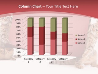 Text Funny Cat PowerPoint Template