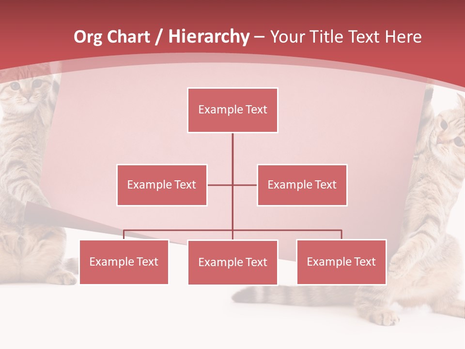 Text Funny Cat PowerPoint Template