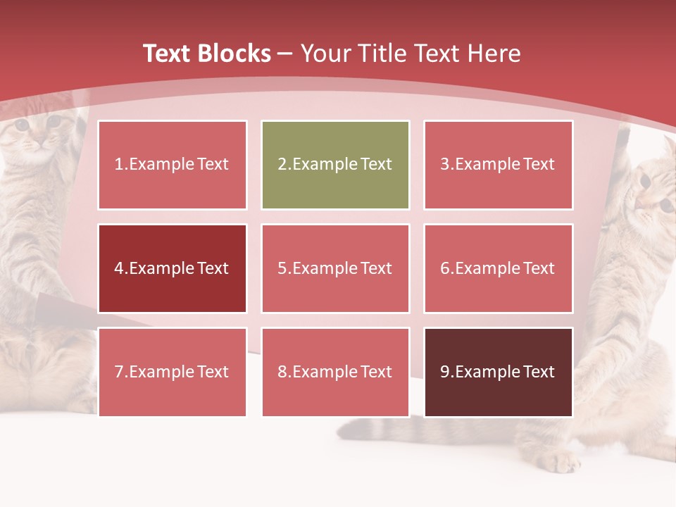 Text Funny Cat PowerPoint Template