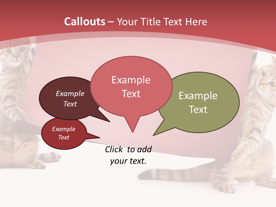 Text Funny Cat PowerPoint Template