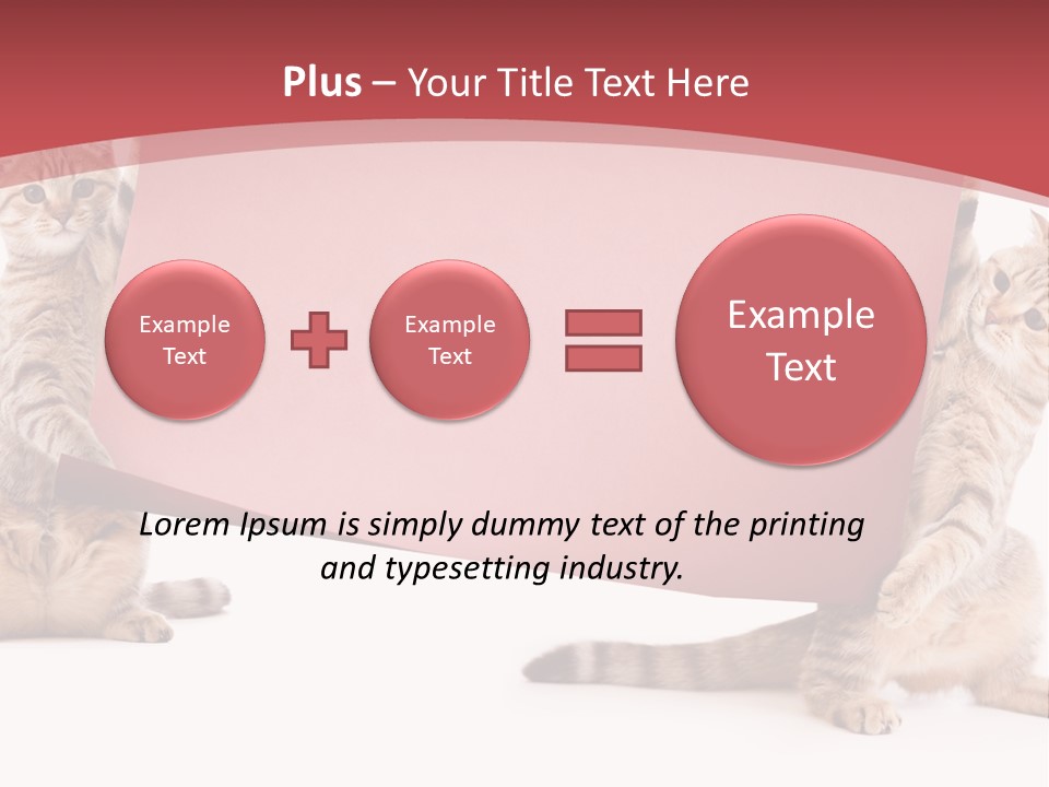Text Funny Cat PowerPoint Template