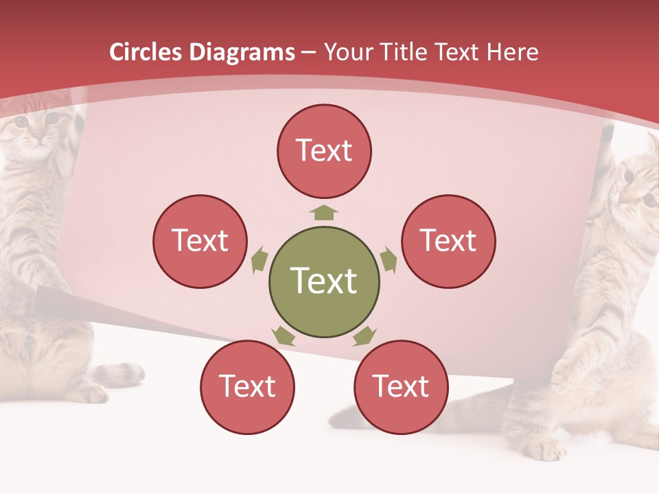 Text Funny Cat PowerPoint Template
