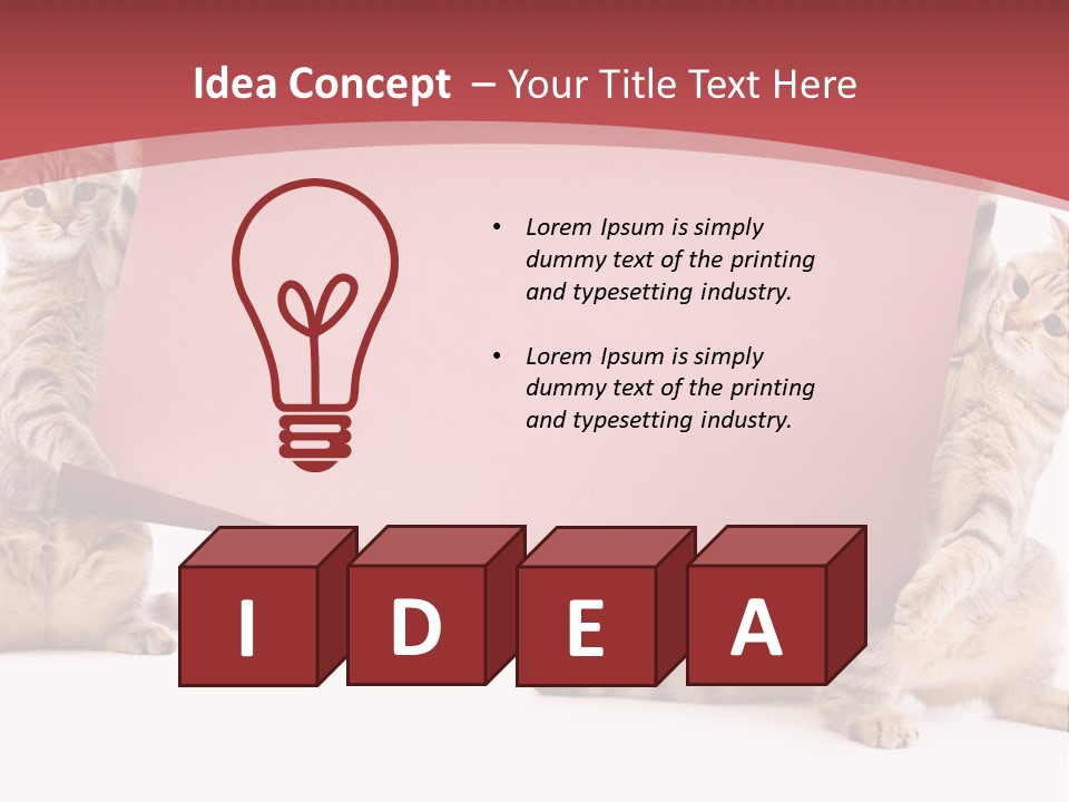 Text Funny Cat PowerPoint Template