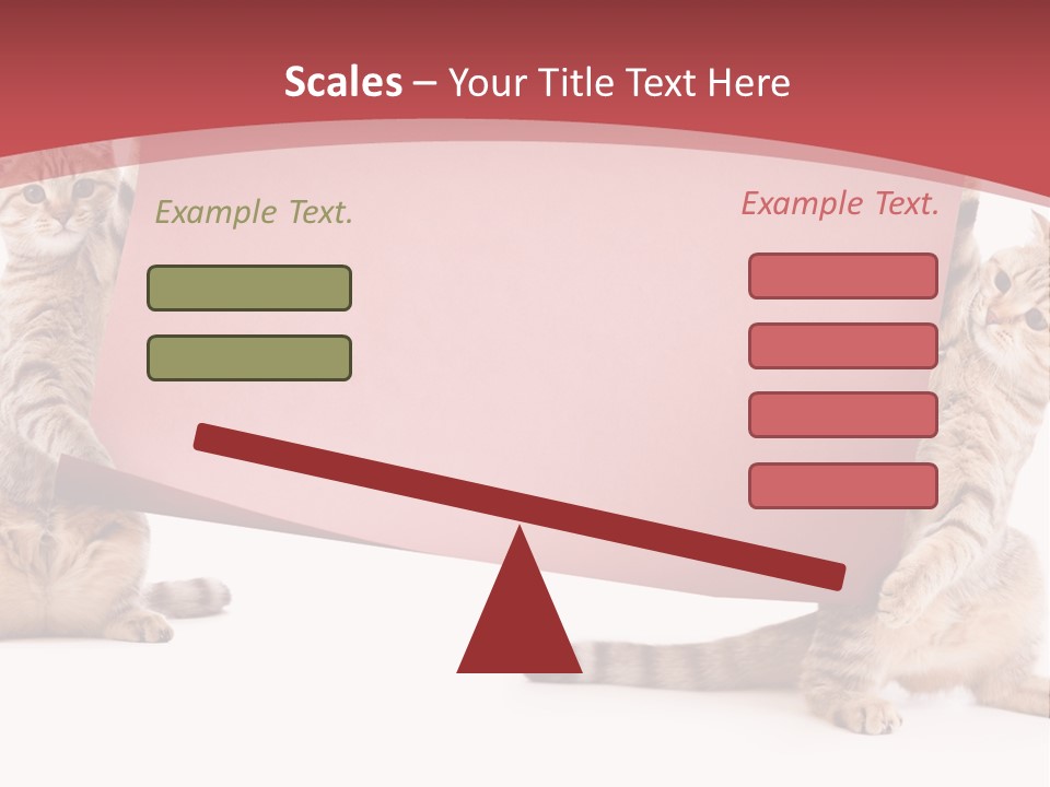 Text Funny Cat PowerPoint Template