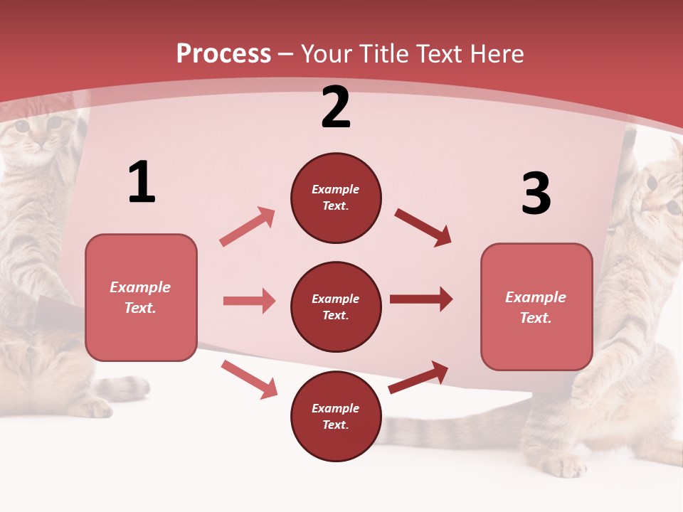 Text Funny Cat PowerPoint Template