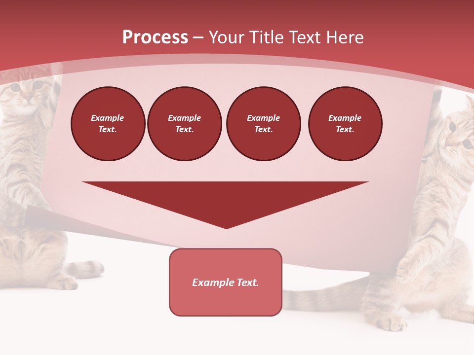 Text Funny Cat PowerPoint Template
