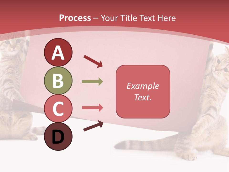 Text Funny Cat PowerPoint Template