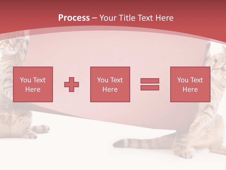 Text Funny Cat PowerPoint Template