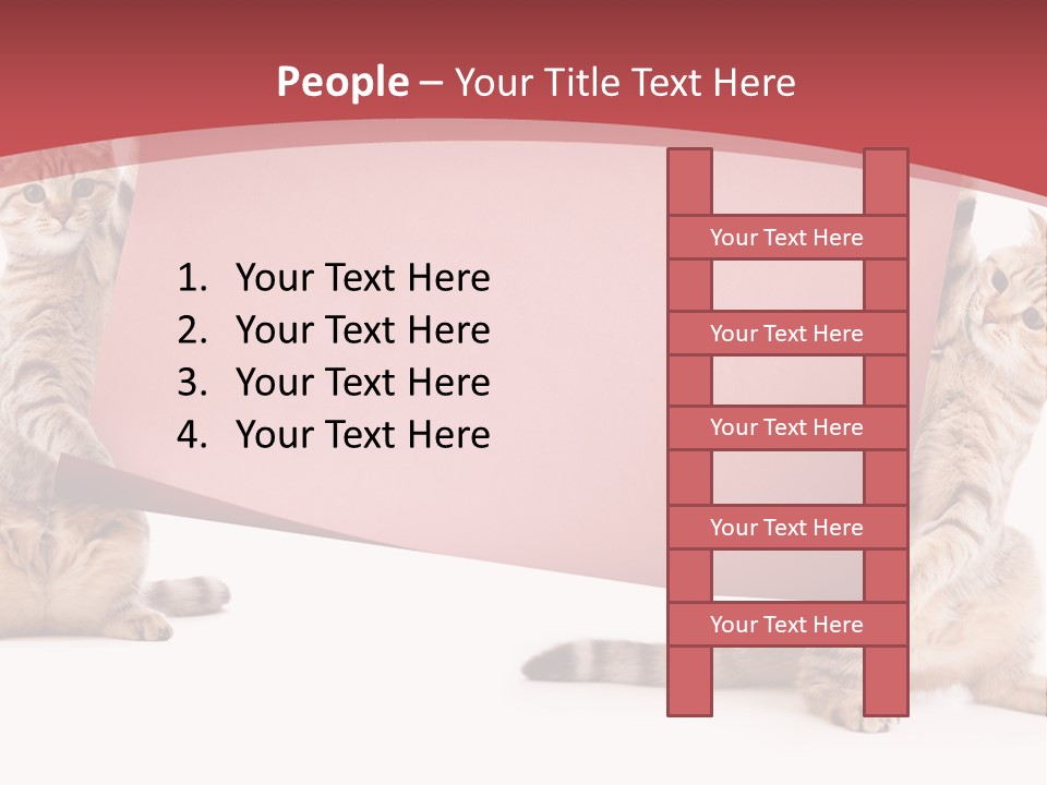 Text Funny Cat PowerPoint Template