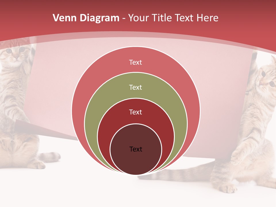 Text Funny Cat PowerPoint Template