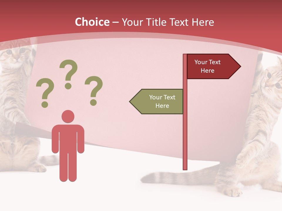 Text Funny Cat PowerPoint Template