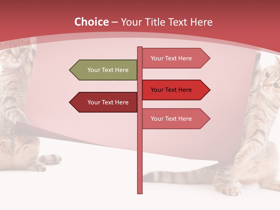 Text Funny Cat PowerPoint Template
