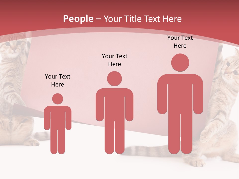 Text Funny Cat PowerPoint Template