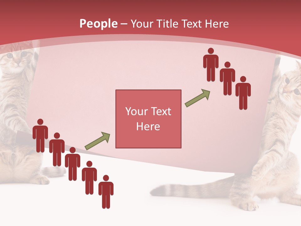 Text Funny Cat PowerPoint Template