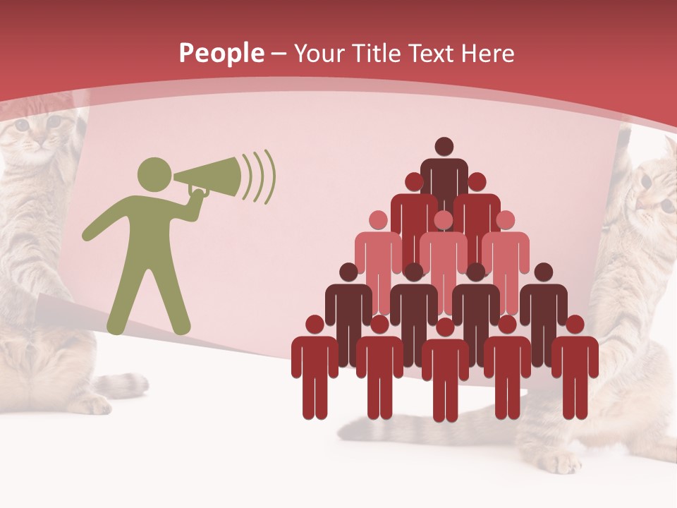 Text Funny Cat PowerPoint Template