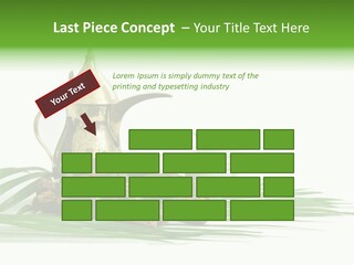 Arabia Background Food PowerPoint Template