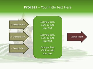 Arabia Background Food PowerPoint Template