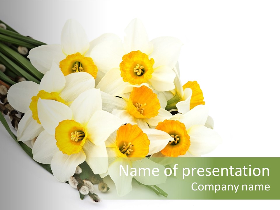 Traditional Seasonal Cards PowerPoint Template