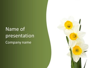 Gift Traditional Nature PowerPoint Template