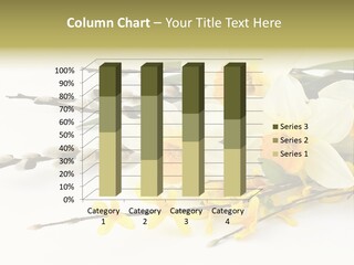 Decoration Garden Holiday PowerPoint Template