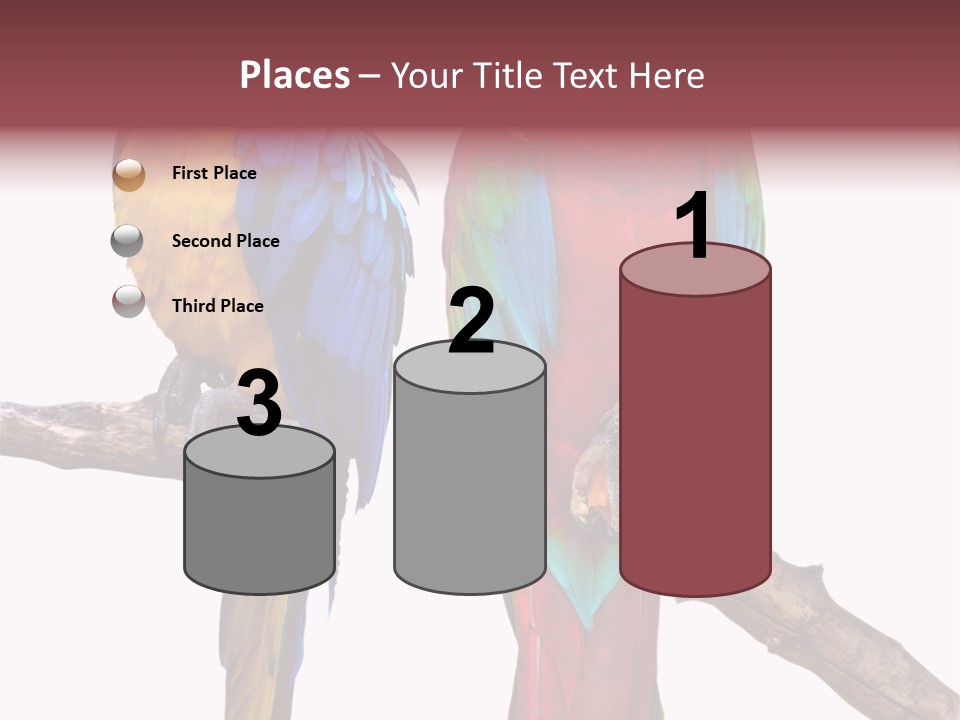 Red And Green Blue And Yellow Colourful PowerPoint Template