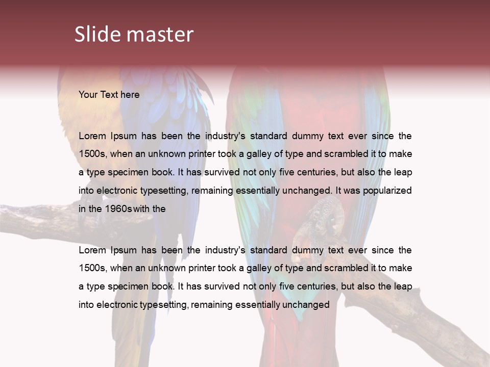 Red And Green Blue And Yellow Colourful PowerPoint Template