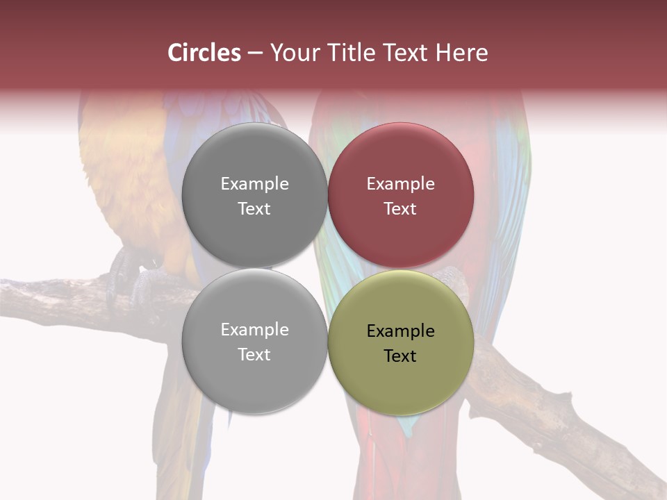 Red And Green Blue And Yellow Colourful PowerPoint Template