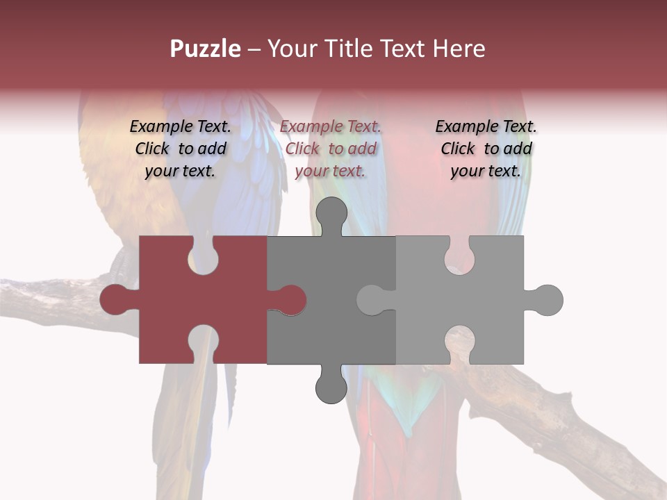 Red And Green Blue And Yellow Colourful PowerPoint Template