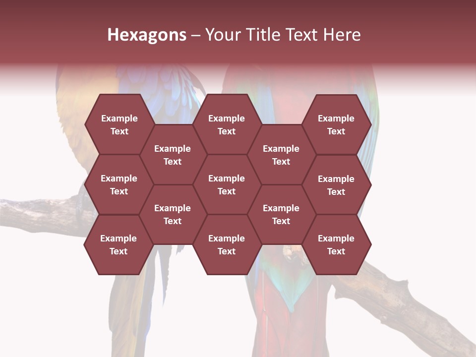 Red And Green Blue And Yellow Colourful PowerPoint Template