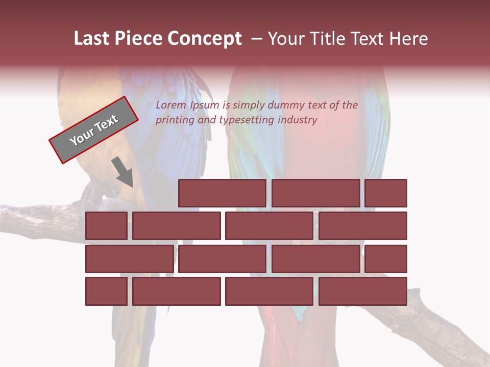 Red And Green Blue And Yellow Colourful PowerPoint Template