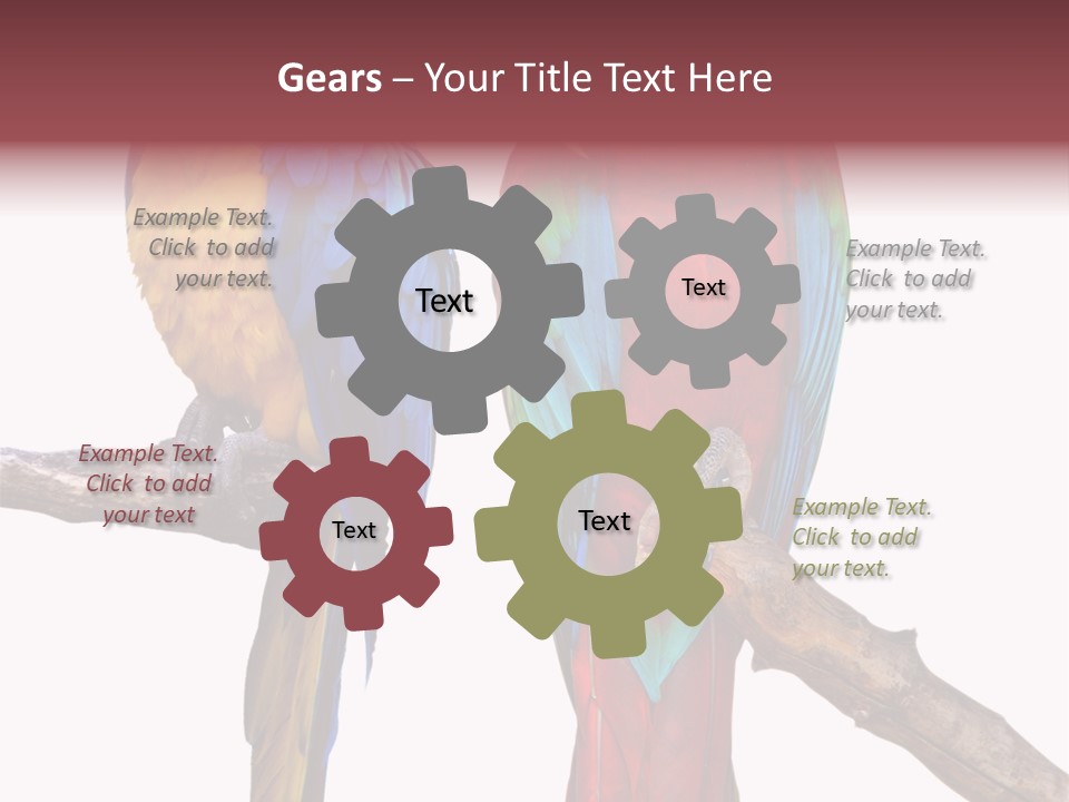 Red And Green Blue And Yellow Colourful PowerPoint Template