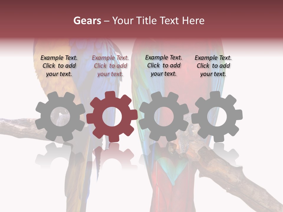 Red And Green Blue And Yellow Colourful PowerPoint Template
