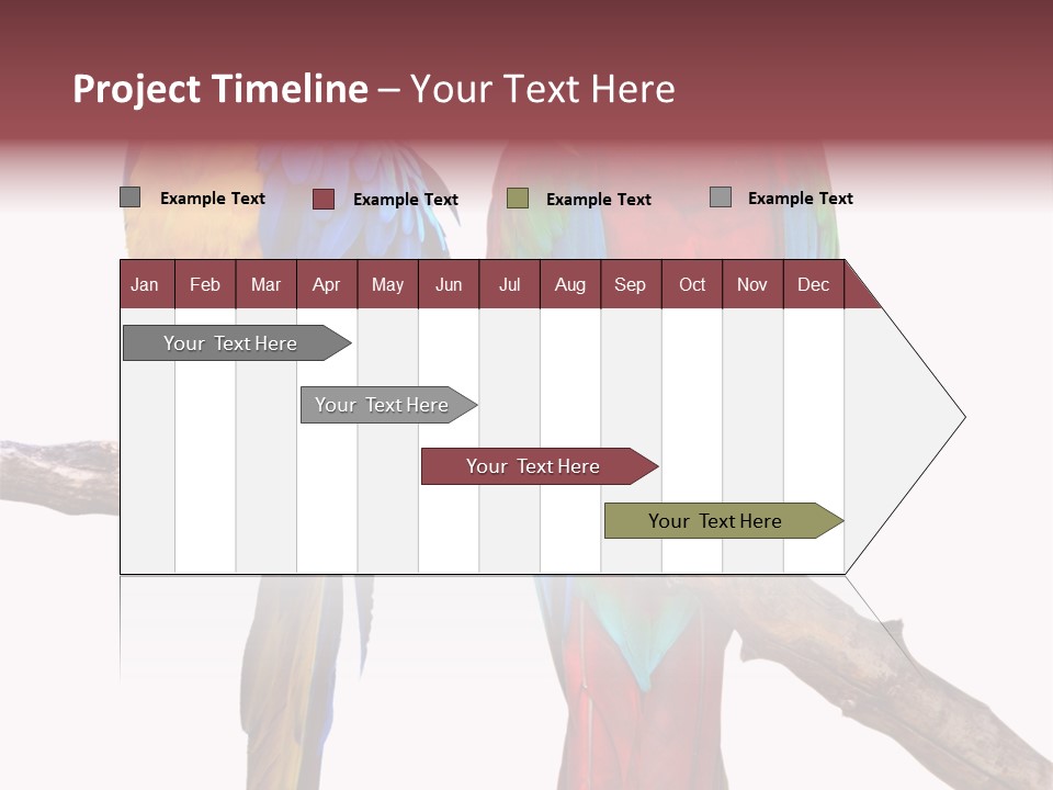 Red And Green Blue And Yellow Colourful PowerPoint Template