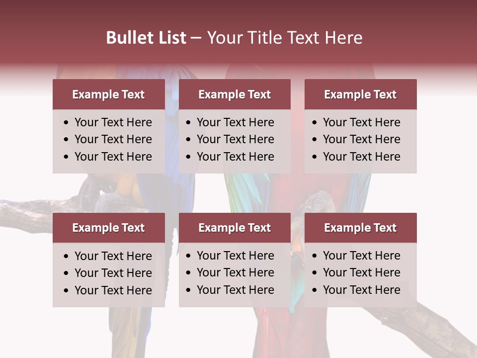 Red And Green Blue And Yellow Colourful PowerPoint Template