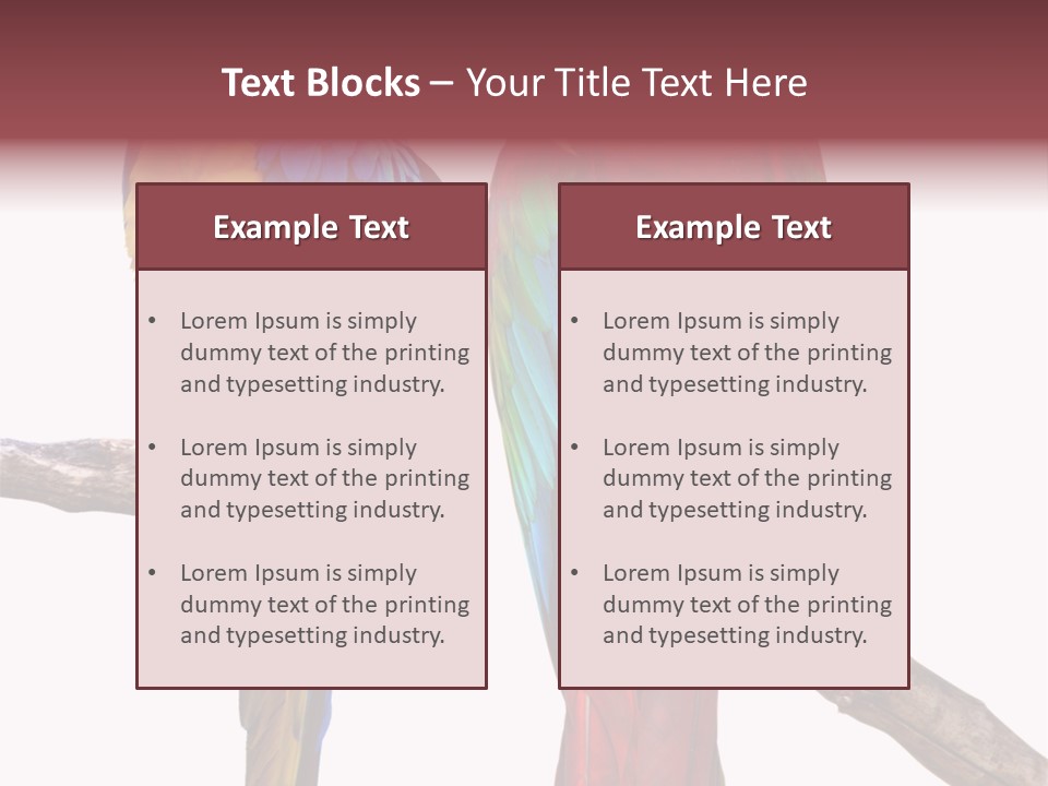 Red And Green Blue And Yellow Colourful PowerPoint Template