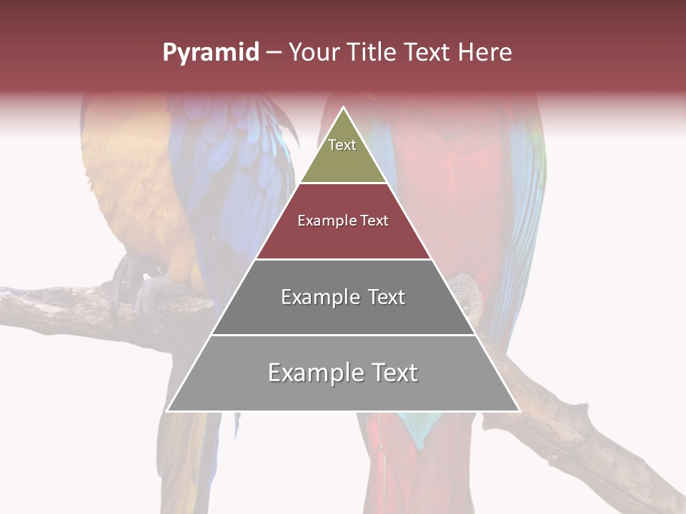 Red And Green Blue And Yellow Colourful PowerPoint Template
