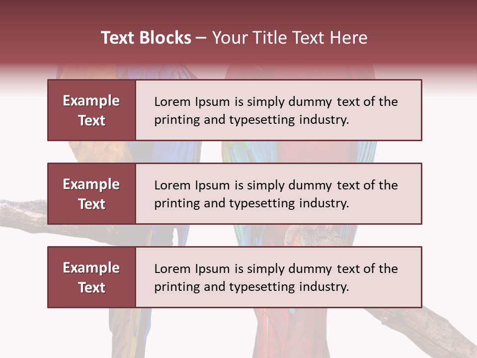 Red And Green Blue And Yellow Colourful PowerPoint Template