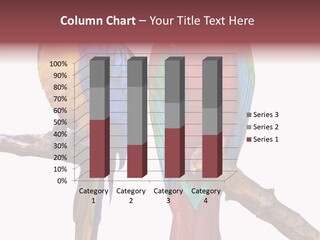 Red And Green Blue And Yellow Colourful PowerPoint Template