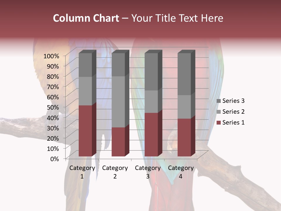Red And Green Blue And Yellow Colourful PowerPoint Template