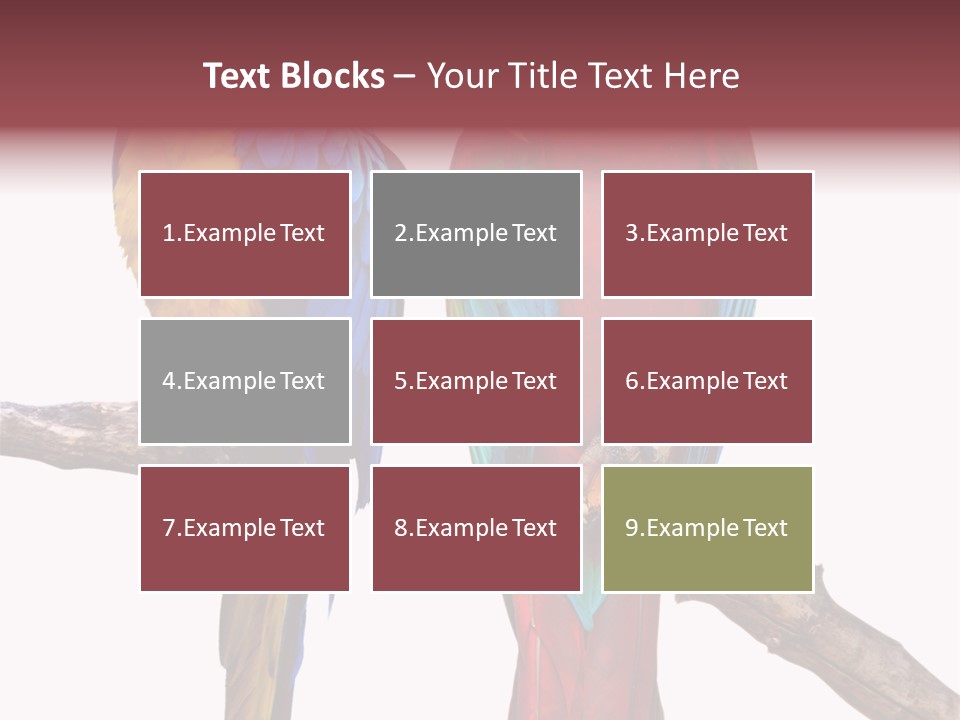 Red And Green Blue And Yellow Colourful PowerPoint Template