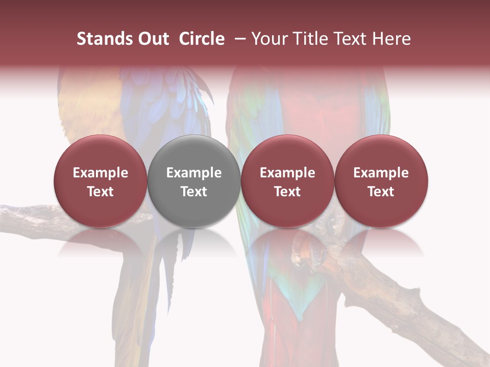 Red And Green Blue And Yellow Colourful PowerPoint Template