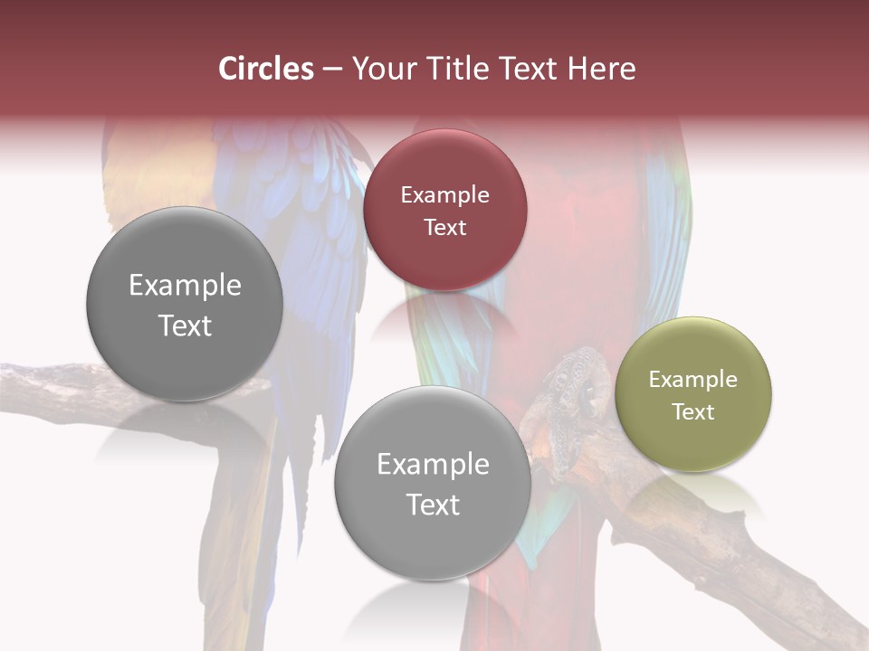 Red And Green Blue And Yellow Colourful PowerPoint Template