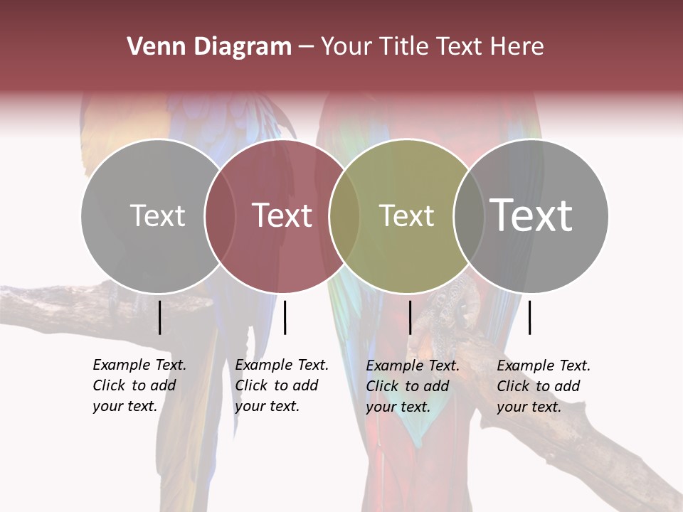 Red And Green Blue And Yellow Colourful PowerPoint Template