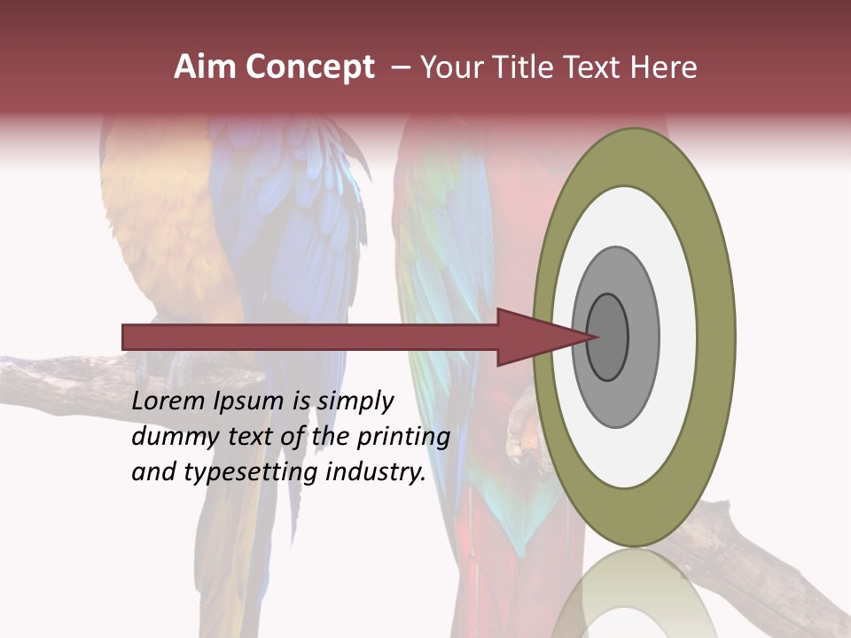 Red And Green Blue And Yellow Colourful PowerPoint Template