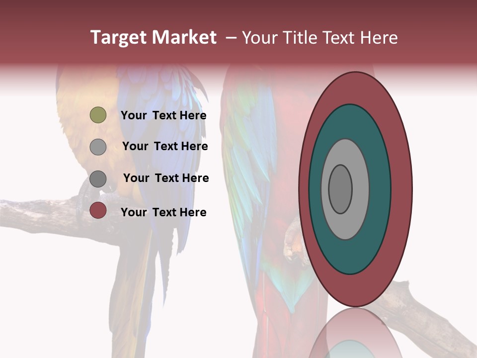 Red And Green Blue And Yellow Colourful PowerPoint Template