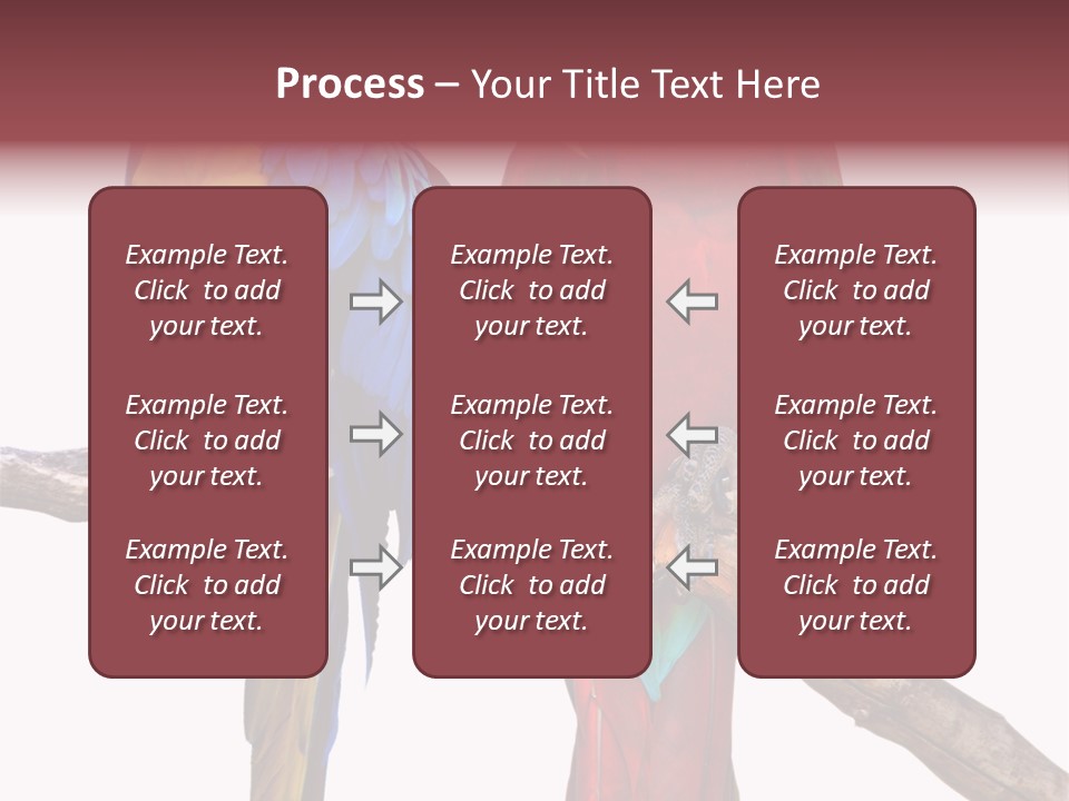 Red And Green Blue And Yellow Colourful PowerPoint Template