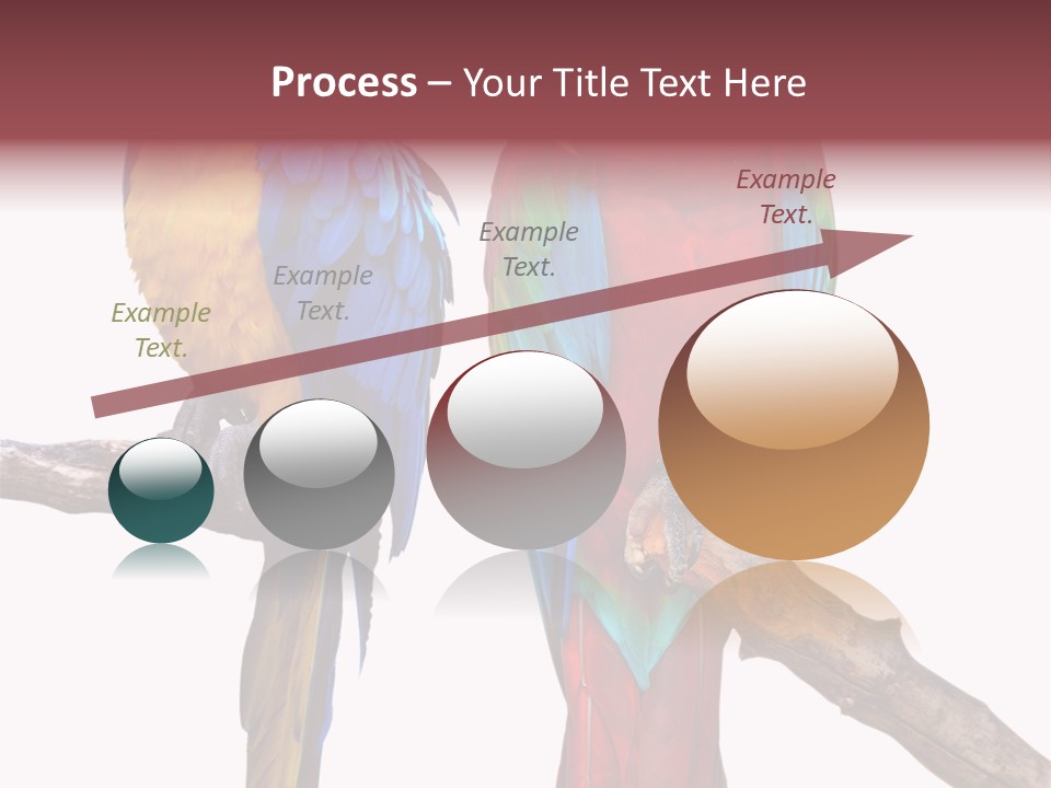 Red And Green Blue And Yellow Colourful PowerPoint Template