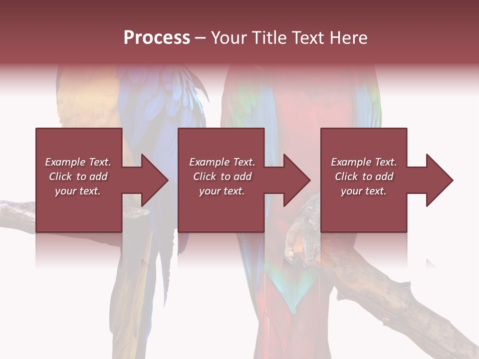 Red And Green Blue And Yellow Colourful PowerPoint Template